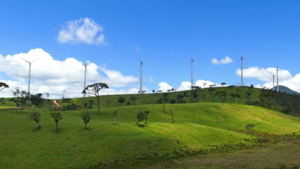 Ветряные турбины на зеленых холмах — стоковое видео