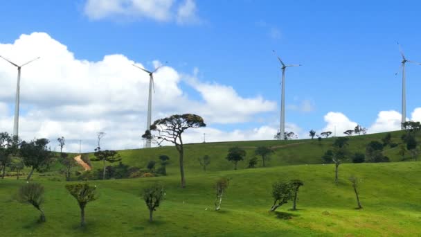 Vindkraftverk på gröna kullar — Stockvideo