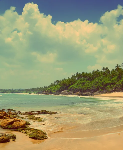 Tropikalnej plaży - styl retro vintage Zdjęcie Stockowe