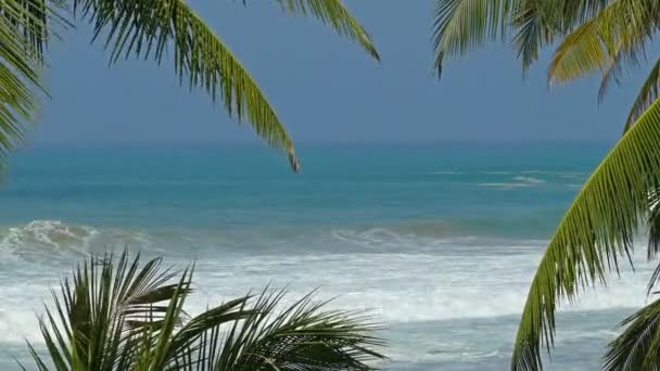 아름 다운 푸른 바다 풍경 — 비디오