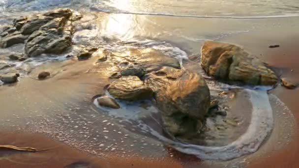 Havet stranden i solnedgången — Stockvideo