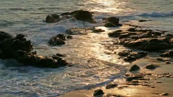 Sea waves at sunset — Stock Video