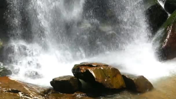 Cascada Ramboda en Sri Lanka — Vídeos de Stock