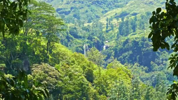 Sri Lanka dağ manzarası — Stok video