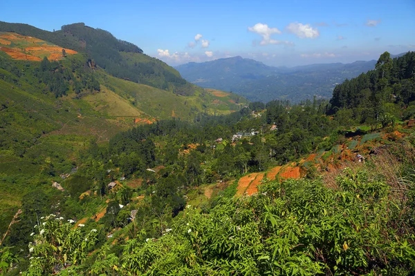 Paisagem de montanha em Sri Lanka — Fotografia de Stock