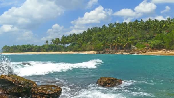 Морські хвилі на тропічному пляжі — стокове відео