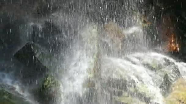 Cascada Ramboda en Sri Lanka — Vídeos de Stock