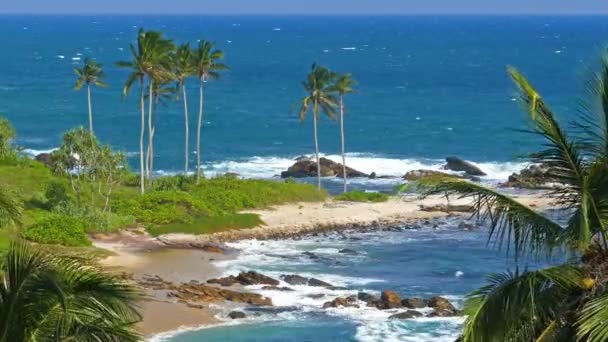 Sea waves on tropical beach — Stock Video