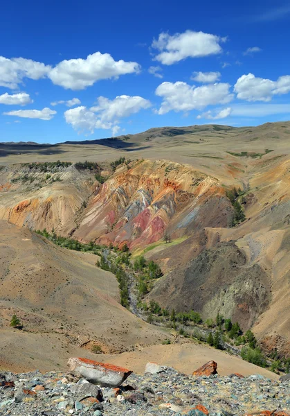 Paisagem com Altai Mountains — Fotografia de Stock