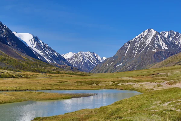 Mountain landscape with river in Altay — Stock Photo, Image