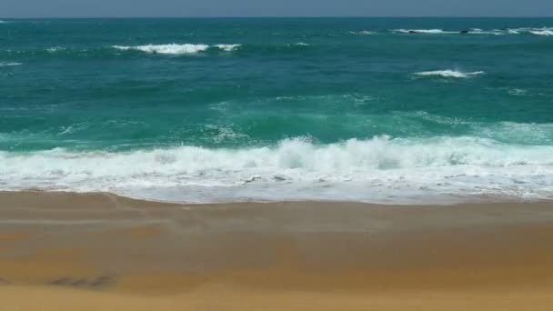 Paisaje con olas oceánicas — Vídeos de Stock