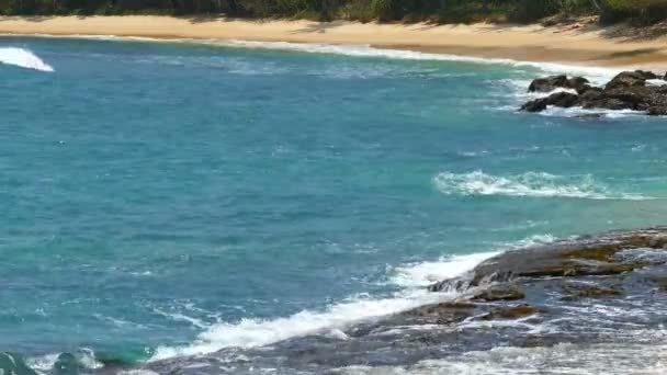 Paisaje con olas oceánicas — Vídeo de stock