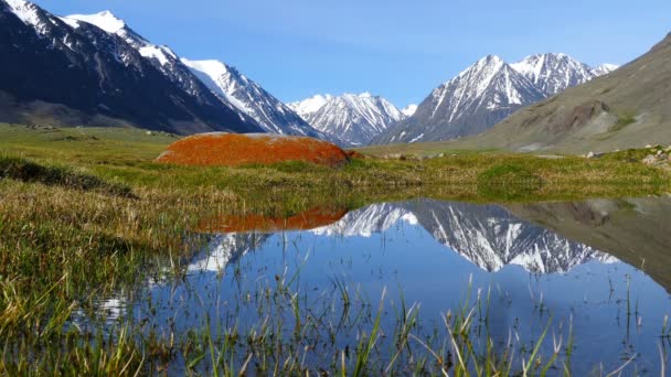 Paisaje de montaña con lago en Altay — Vídeos de Stock