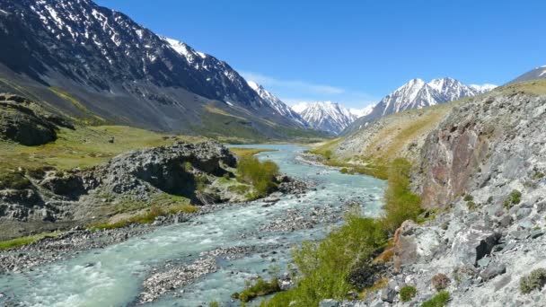 Paisaje de montaña con río en Altay — Vídeos de Stock