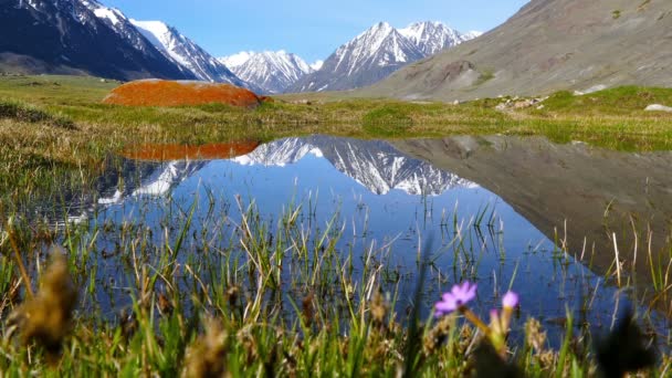 Paysage de montagne avec lac en Altay — Video