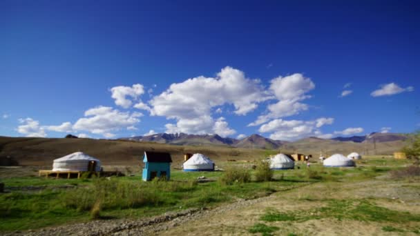 Nomadic yurt camp in Altay — Stock Video