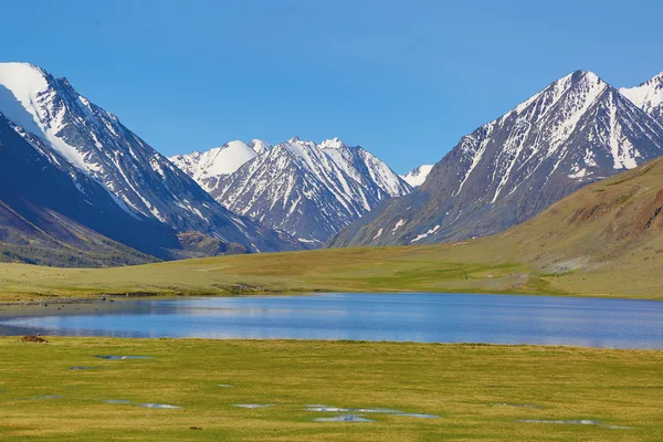 Mountain landscape with lake in Altay — Stock Photo, Image