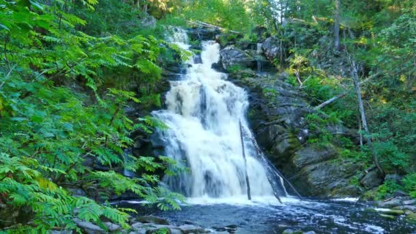 Yukankoski waterfall on river Kulismayoki — Stock Video