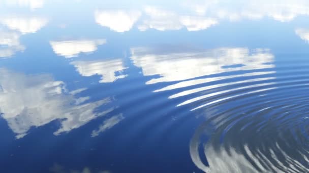 Circles flow along surface of water — Stock Video