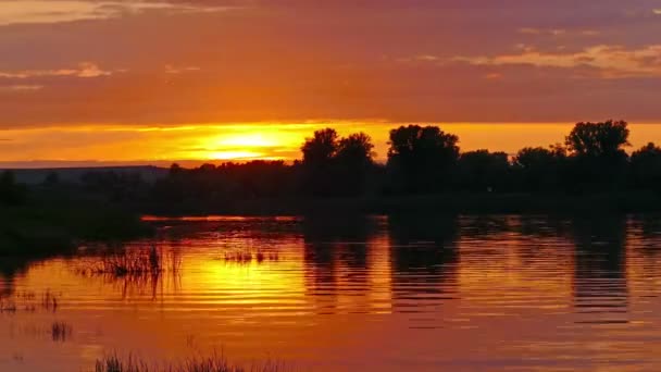 Zachód słońca krajobraz rzeczny — Wideo stockowe