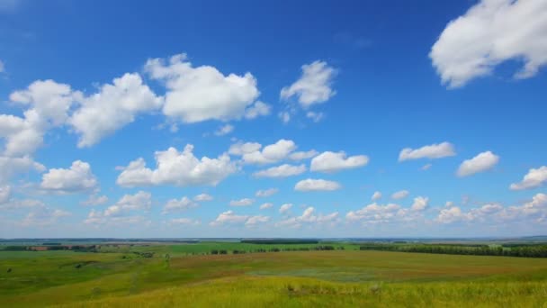 Zomer landschap met bewolkte lucht — Stockvideo