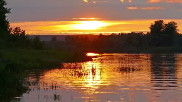 Rio pôr do sol paisagem — Vídeo de Stock