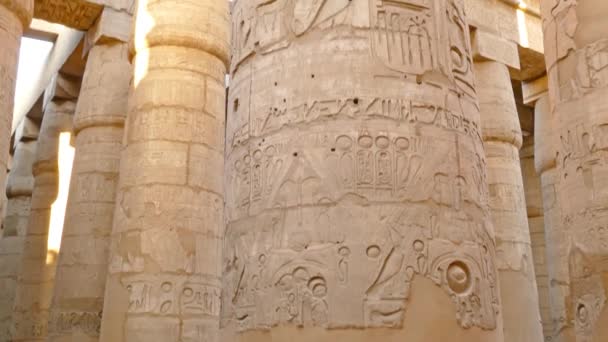 Colonnes dans le temple karnak avec hiéroglyphes — Video