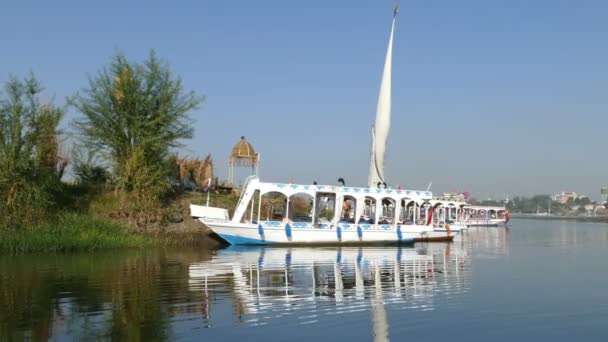 Barcos y embarcaciones en el río Nilo en Luxor — Vídeo de stock