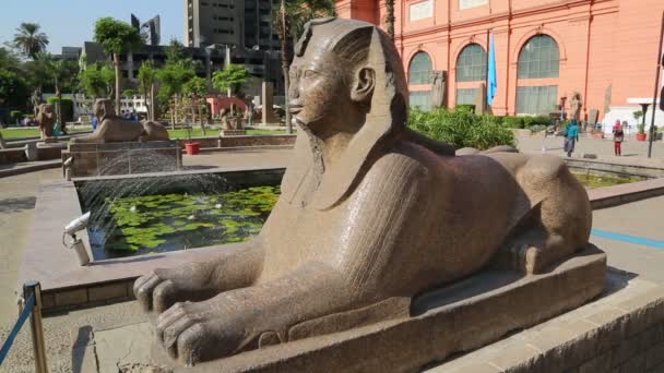 Сфінкс в єгипетського музею в Каїрі — стокове відео