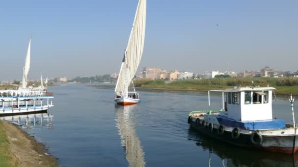 Bateau touristique sur le Nil à Louxor, Egypte — Video