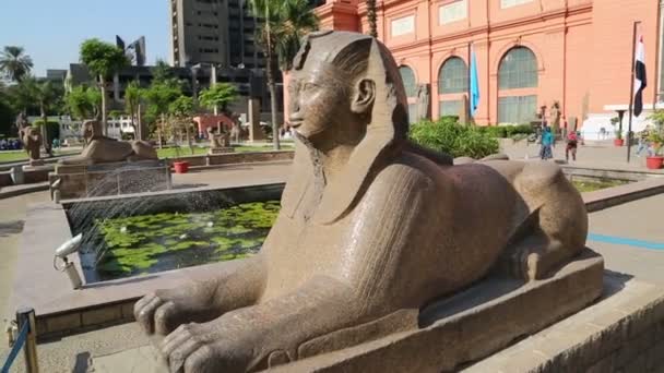 Sphinx at Egyptian Museum in Cairo, Egypt — Stock Video