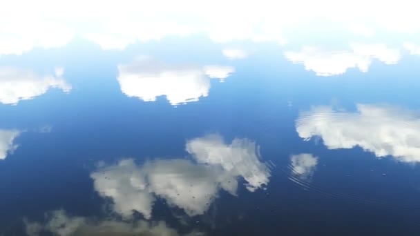 Círculos fluyen a lo largo de la superficie del agua — Vídeos de Stock