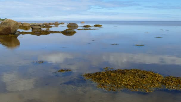 Weißes Meer — Stockvideo