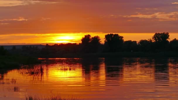 Floden solnedgång landskap — Stockvideo