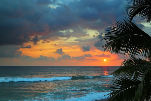 Krásný západ slunce a palmové listy — Stock fotografie