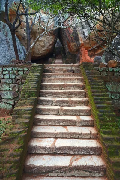 Escada em Castelo de Leão Sigiriya — Fotografia de Stock