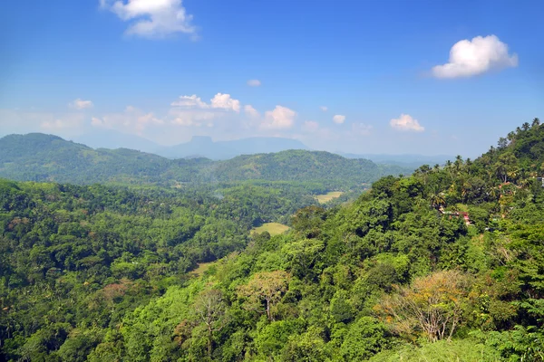 Paysage montagneux au Sri Lanka — Photo