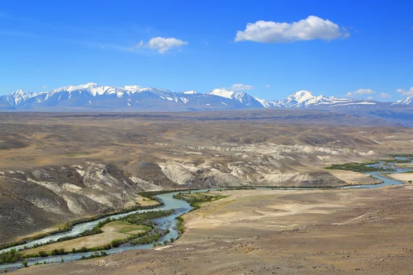 Landscape with river in Altai mountains — Stock Photo, Image