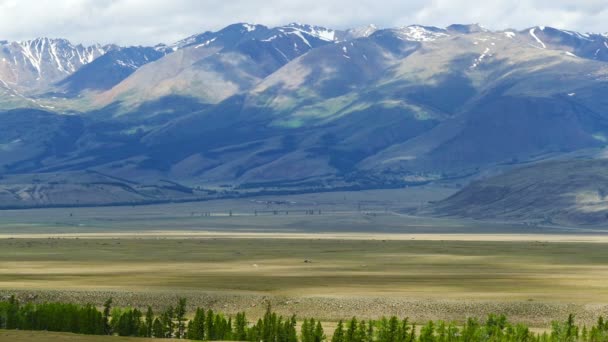 Altai dağlarındaki manzara — Stok video