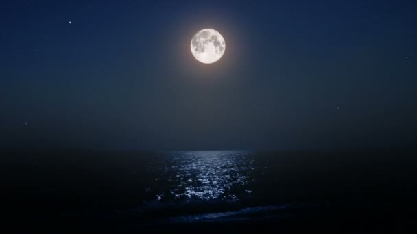Natt moonbeam i havet — Stockvideo