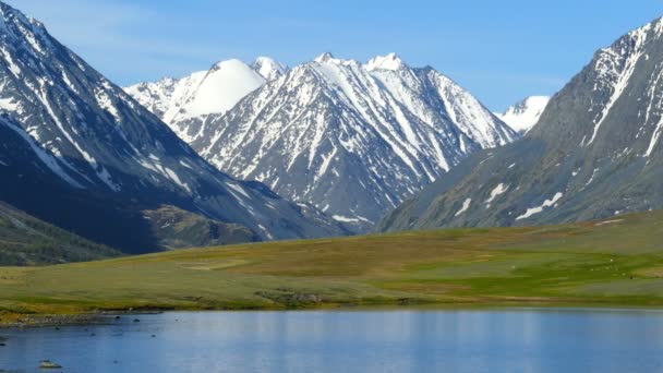 Bergslandskap i Altay — Stockvideo