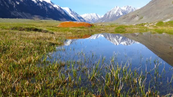 Altay paysage de montagne — Video