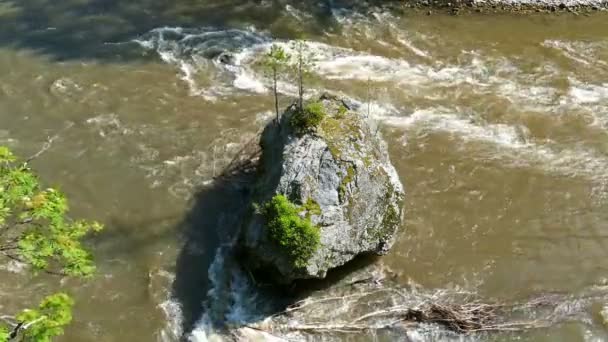 Gran roca en el río de montaña — Vídeo de stock