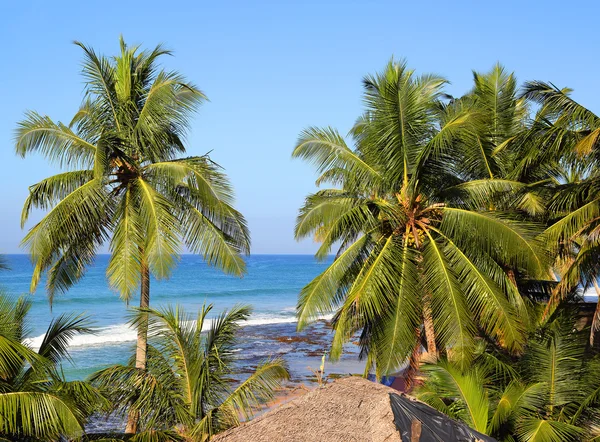 Sea landscape with palm leaves on foreground — Stock Photo, Image