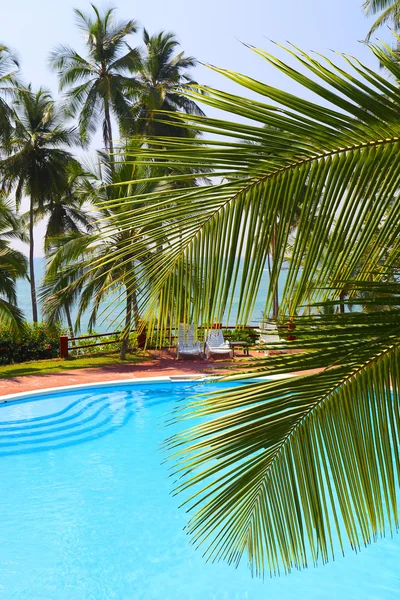 Hoja de palma en frente de la piscina por mar — Foto de Stock