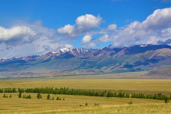 Paisaje en las montañas de Altai — Foto de Stock