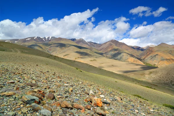 Paisaje en las montañas de Altai —  Fotos de Stock