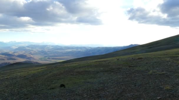 Chuya River Valley landscape — Stock Video