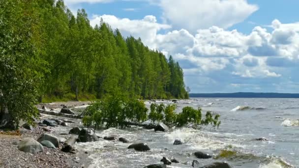 Costa do lago Onega — Vídeo de Stock