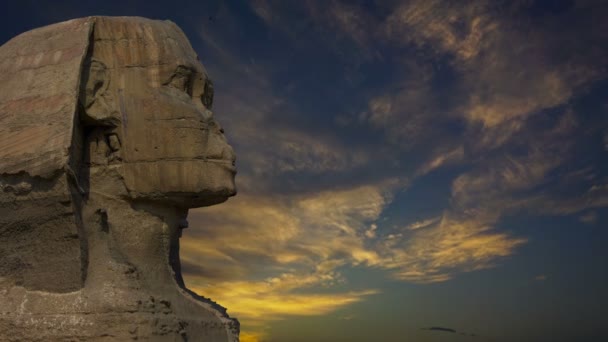Głowę Sfinksa w Gizie w Kairze — Wideo stockowe